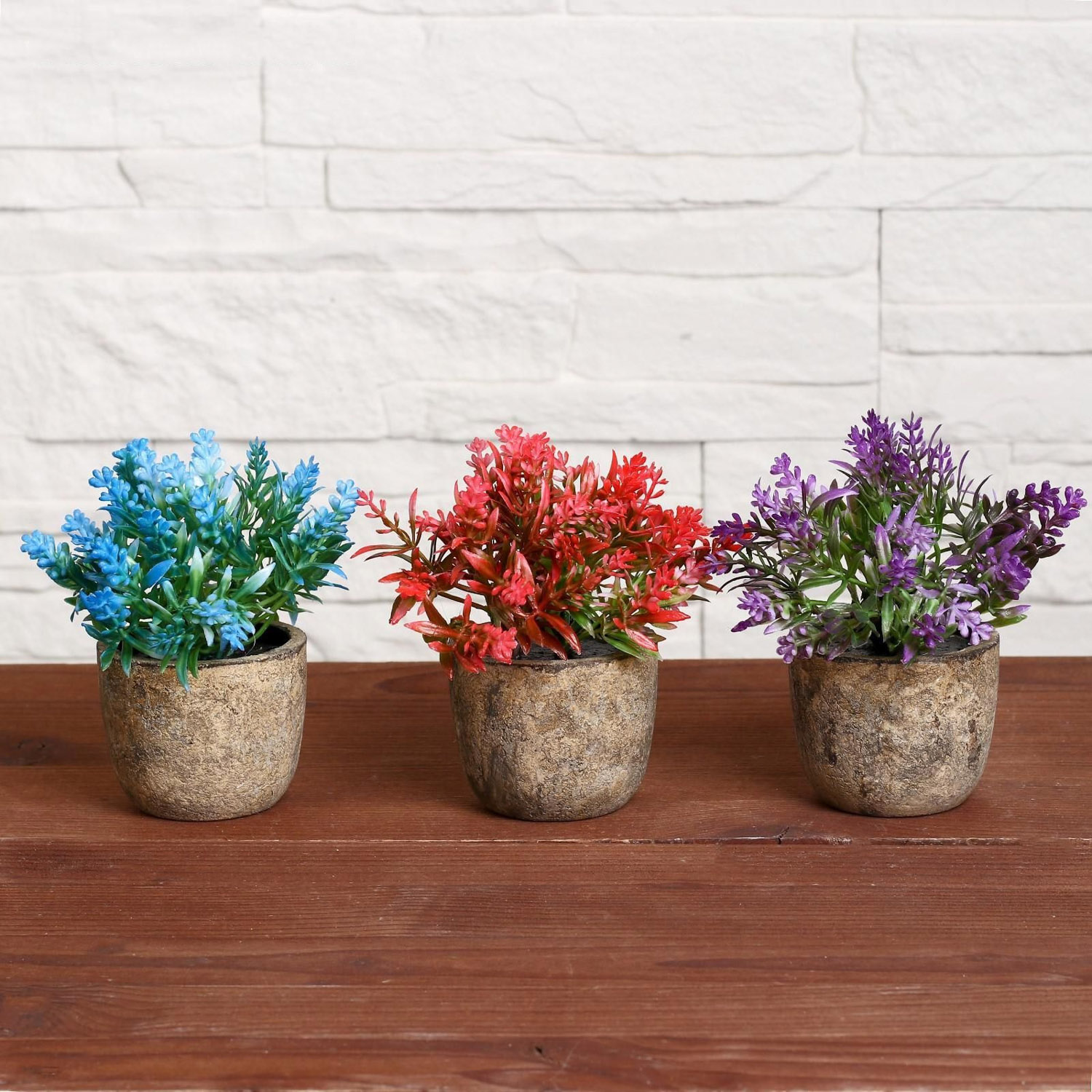 Бонсай "Седум" 6*10 см, микс   4293933