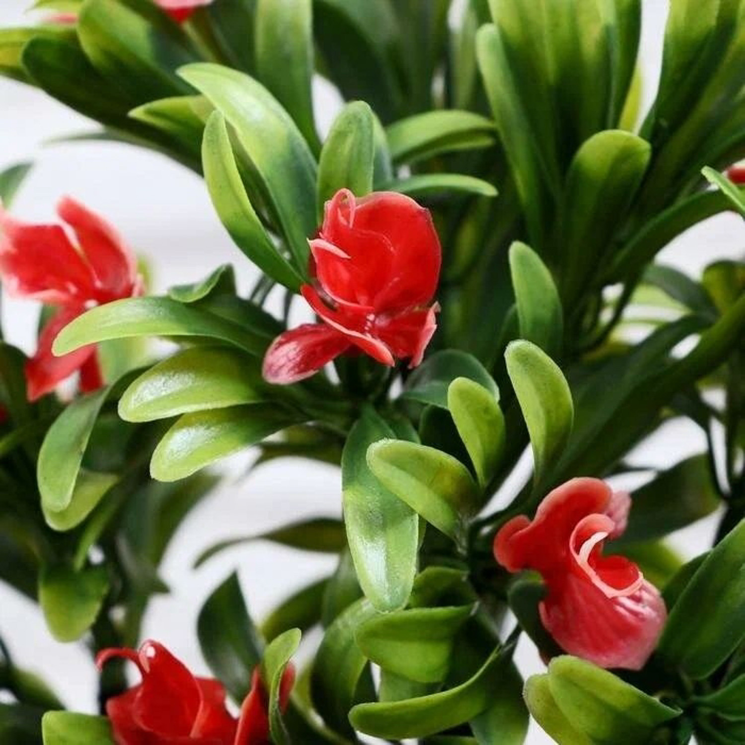 Бонсай "Деревце с тонкими листьями и цветами" 10*24 см микс   4142812