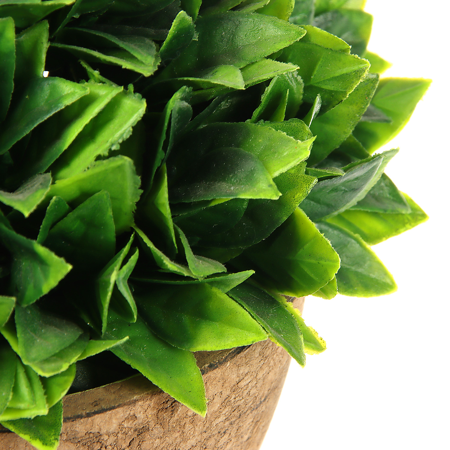 Бонсай в горшке "Густые листики" 13х11 см, микс 4555662