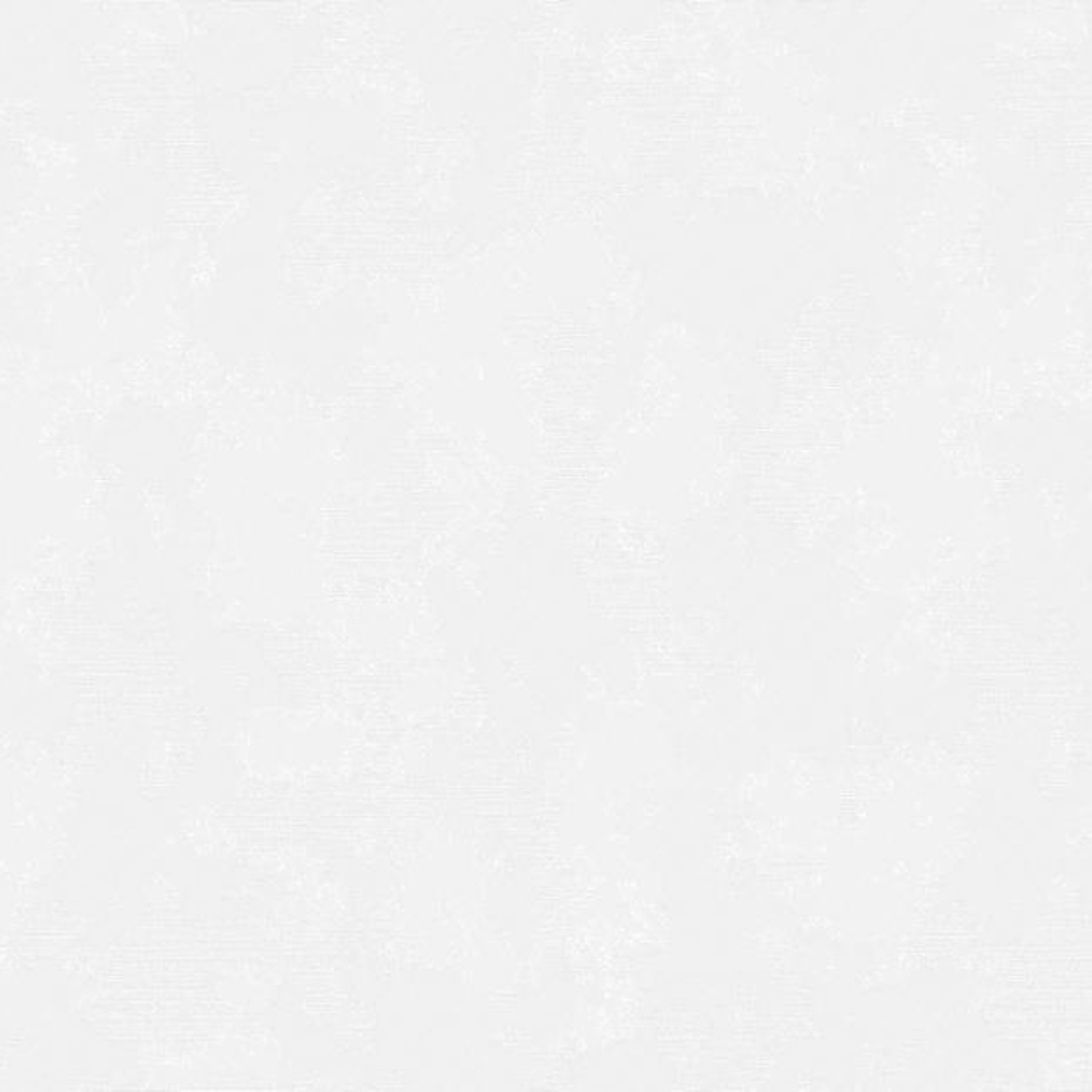 Обои  флиз. "Эрисманн" Silk 60731-02 10х1.06м *9 Обои  флиз. "Эрисманн" Silk 60731-02 10х1.06м *9