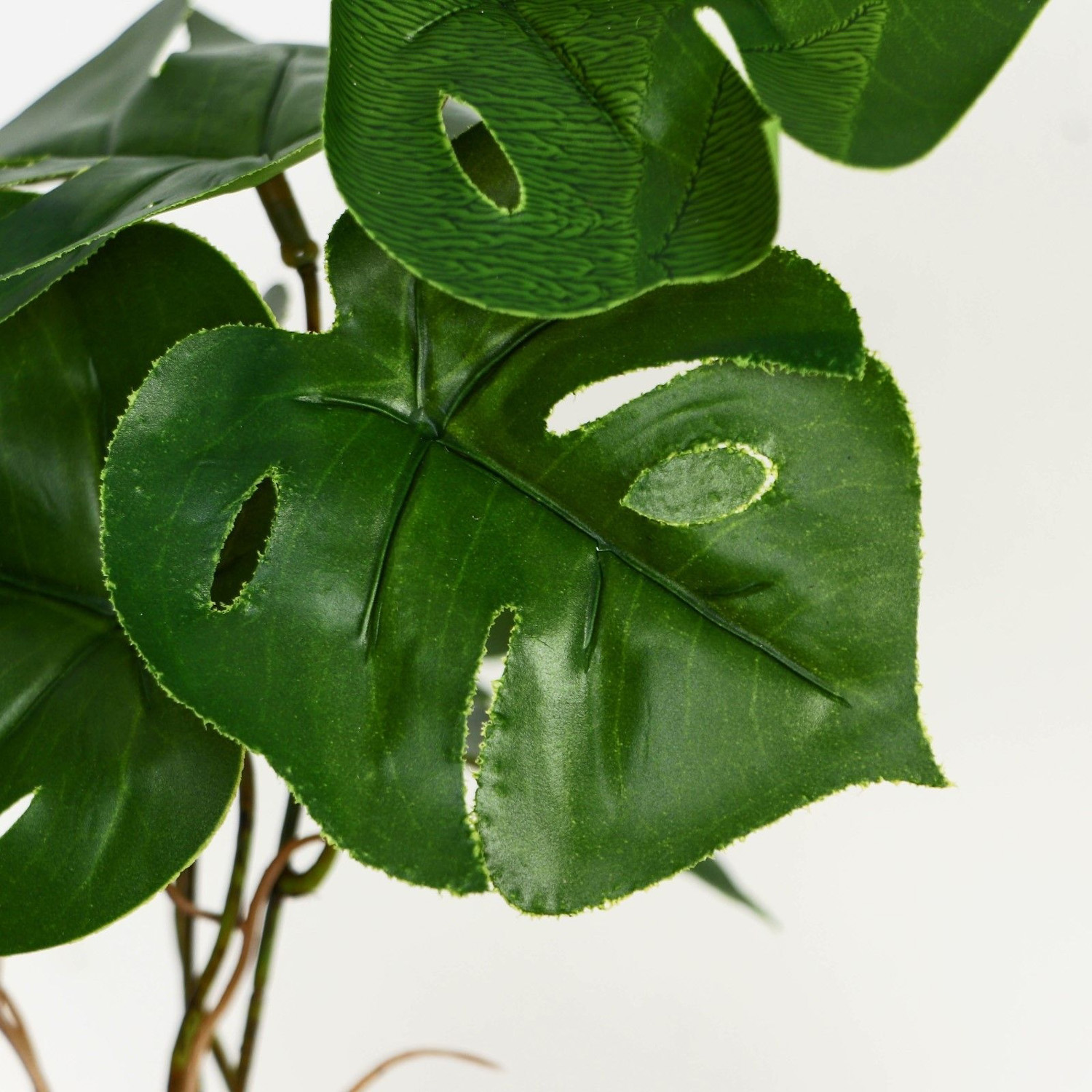 Бонсай в горшке «Монстера блик» 7,5х20 см 9789749