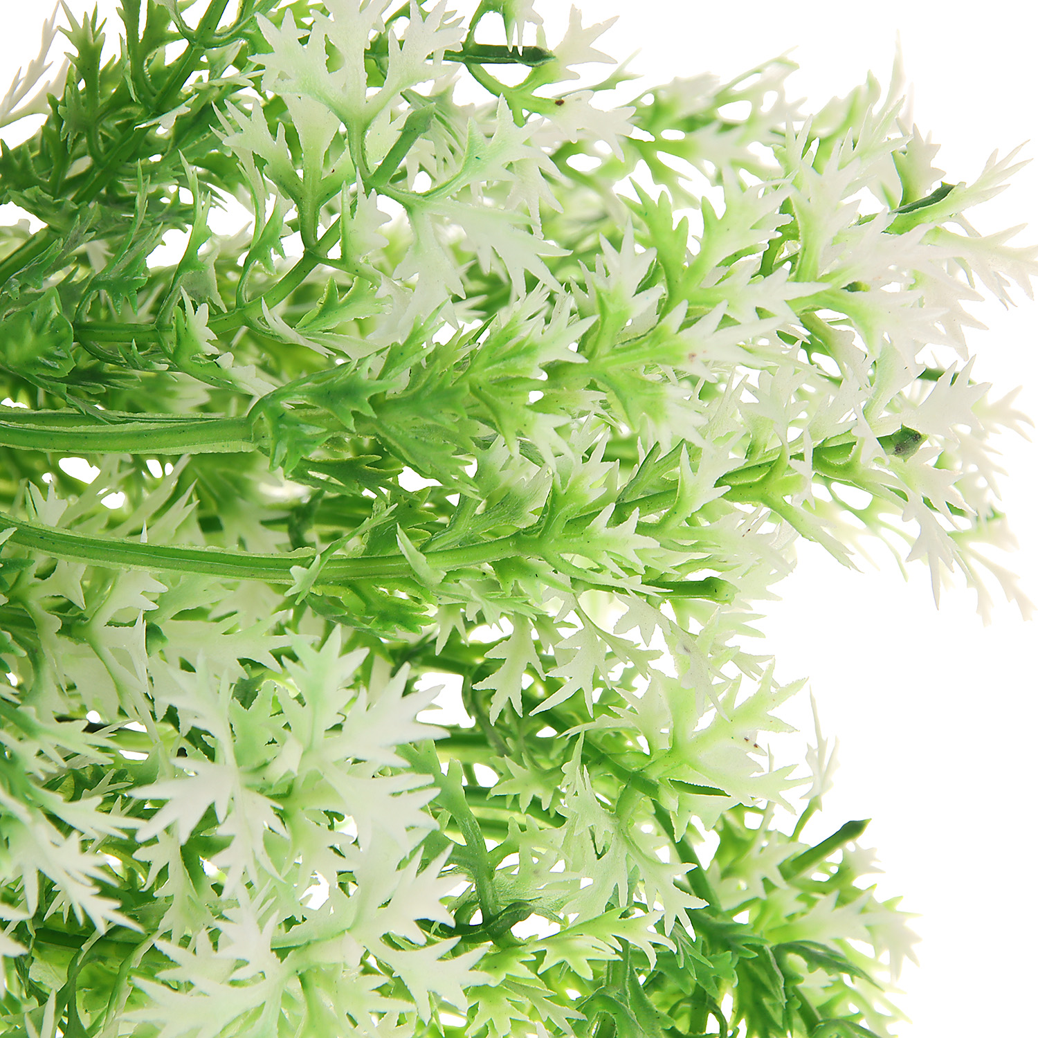 Букет "Аспарагус галант" 29 см, бело-зелёный  9229372