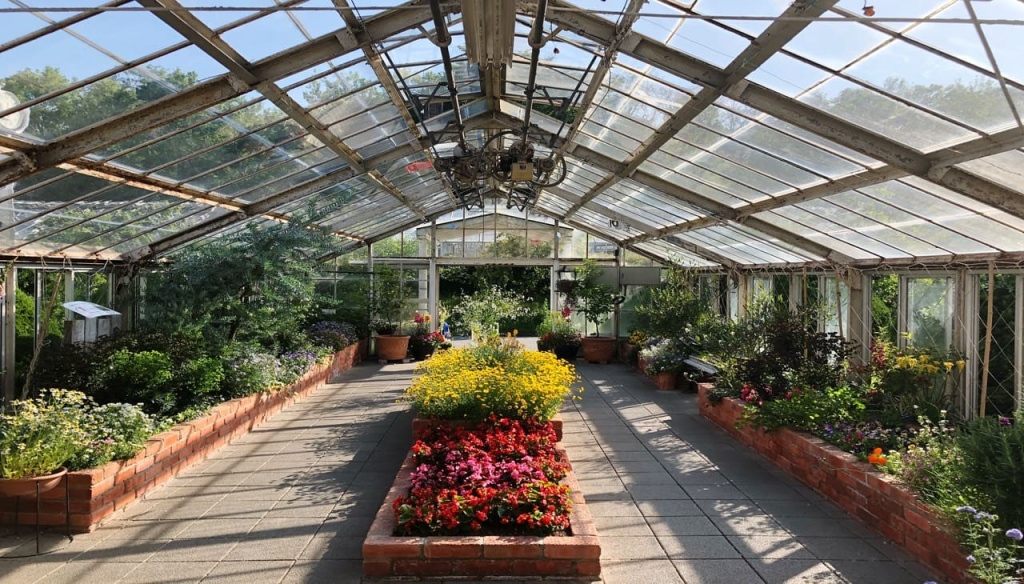 rastenia-v-gorskah-v-teplice (2).jpg rastenia-v-gorskah-v-teplice (2).jpg