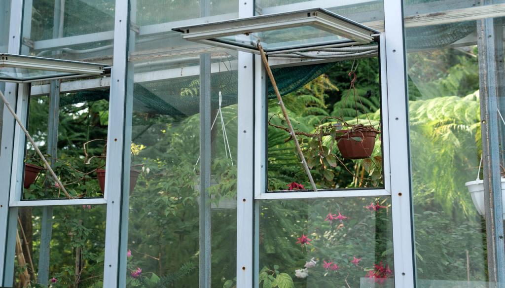 razdel-steklannoi-steny-tropiceskogo-cvetocnogo-teplica-s-otkrytym-oknom-naruzu (5).jpg razdel-steklannoi-steny-tropiceskogo-cvetocnogo-teplica-s-otkrytym-oknom-naruzu (5).jpg
