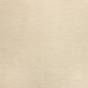 Обои флиз "Палитра" 10 ВВ ГТ PL72105-42 1,06*10м *1/6