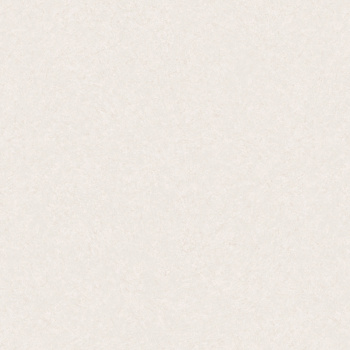 Обои флиз "WallSecret Basic" Espresso 8809-03  10*1,06м *6