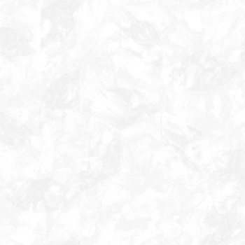 Обои  флиз. "Эрисманн" Andrea 60637-02 10х1.06м *6