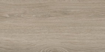 Керамогранит 1.44 м² LB Ceramics Винтаж Вуд 6260-0019-1001, 600x300х8.5 мм, натуральный Керамогранит 1.44 м² LB Ceramics Винтаж Вуд 6260-0019-1001, 600x300х8.5 мм, натуральный