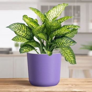 Кашпо пластм. "Лион"  4.2л d верха 190мм h175мм со вставкой Лаванда ЛИ19-21 *1/8