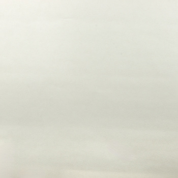 Обои флиз. "Эрисманн" Monica фон (беж.) 60939-02 10.05х1.06м *6