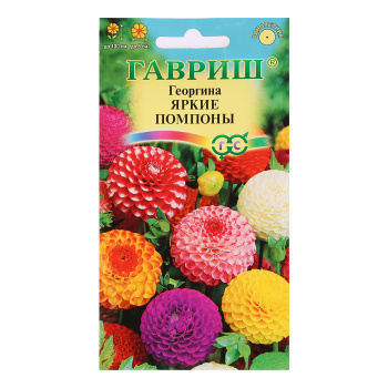 Семена Георгина Яркие помпоны 0,2гр Гавриш *10/200