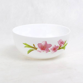 ARC E4902 Салатник УОТЕР КОЛОР 21см. (1/6)