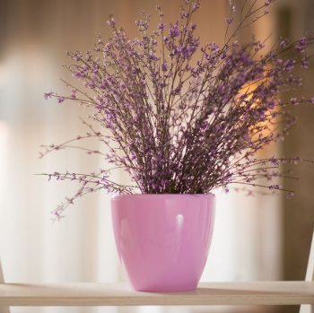 Кашпо пластм. "ДЕКО ТВИН" 5,8л d верха 225мм h200мм со вставкой Лаванда ДЕК 5 ЛАВ ("Santino") *1/16