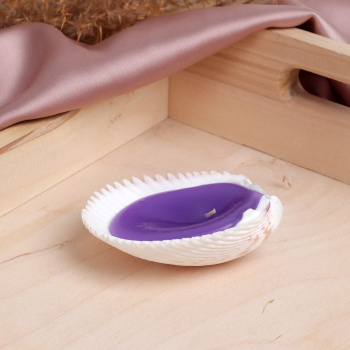 Свеча-ракушка "Time to dream",фиолетовая, 9 х 6 х 2,5 см 6581972