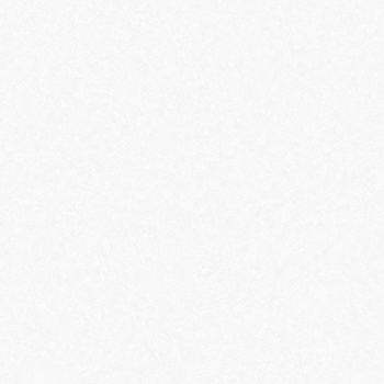 Обои флиз "WallSecret Basic" Espresso 8809-01 10*1,06м *6