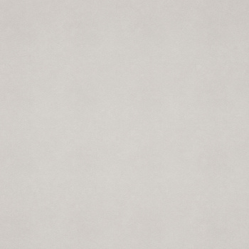 Обои флиз "Антураж" Puff фон AN8890-06 10*1,06м *6